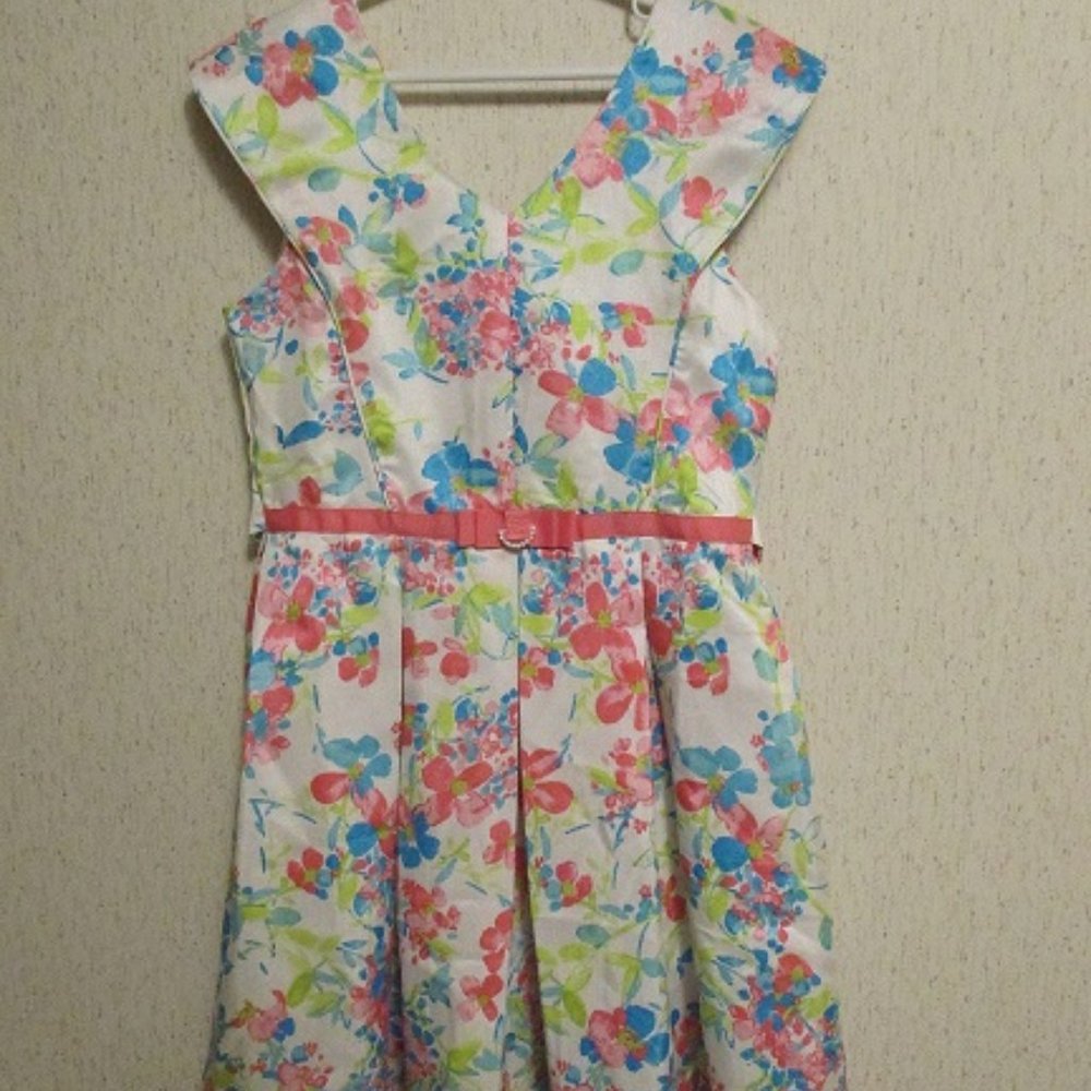 JONA MICHELLE Sleeveless Pink & Blue Floral Dress